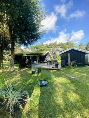 Familievenligt Hus Nær Tranum Klitplantage